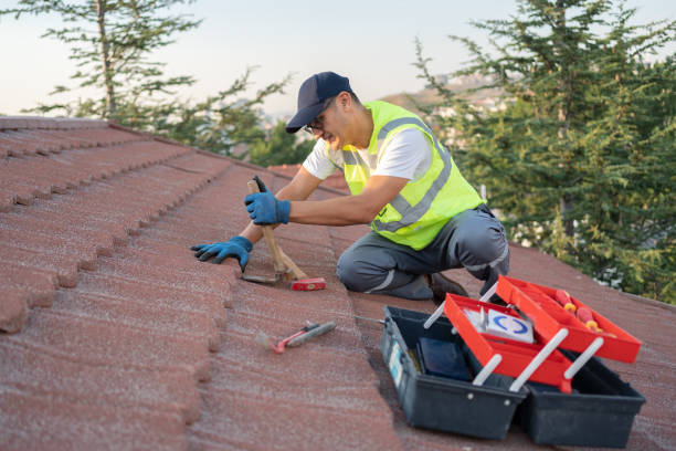 Roof Gutter Cleaning in Passapatanzy, VA